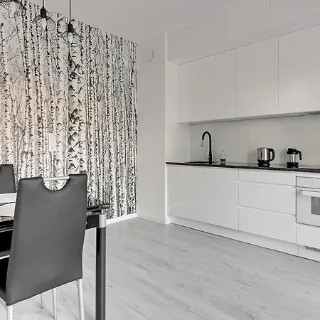 Comfort Rajska Apartment